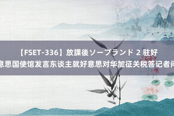 【FSET-336】放課後ソープランド 2 驻好意思国使馆发言东谈主就好意思对华加征关税答记者问