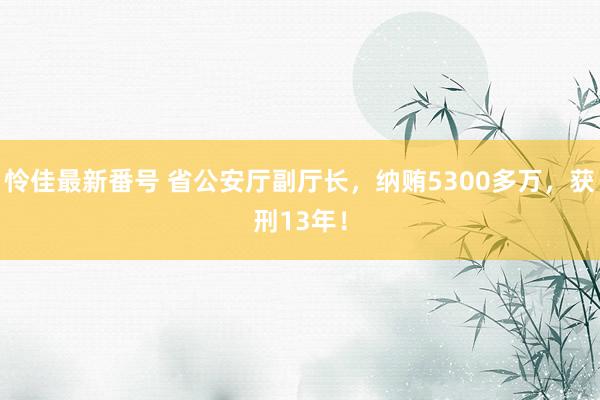 怜佳最新番号 省公安厅副厅长，纳贿5300多万，获刑13年！