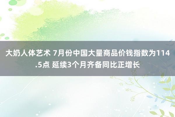 大奶人体艺术 7月份中国大量商品价钱指数为114.5点 延续3个月齐备同比正增长