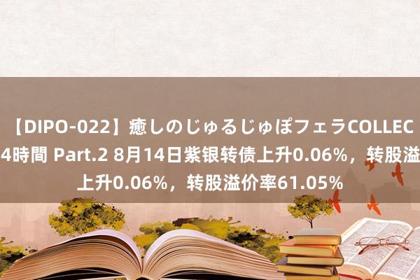 【DIPO-022】癒しのじゅるじゅぽフェラCOLLECTION50連発4時間 Part.2 8月14日紫银转债上升0.06%，转股溢价率61.05%