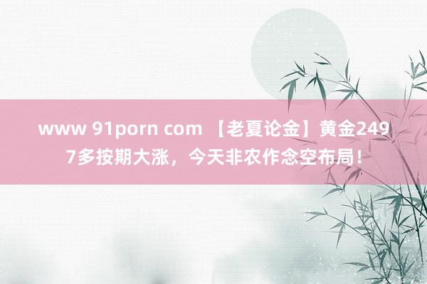 www 91porn com 【老夏论金】黄金2497多按期大涨，今天非农作念空布局！