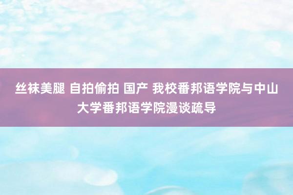 丝袜美腿 自拍偷拍 国产 我校番邦语学院与中山大学番邦语学院漫谈疏导